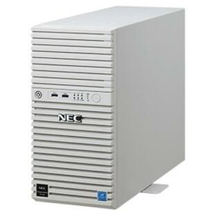 NEC NP8100-2902YPTY Express5800/D/T110k Xeon E-2314 4C/8GB/SATA 1TB*2 RAID1/W2019/タワー 3年保証の画像