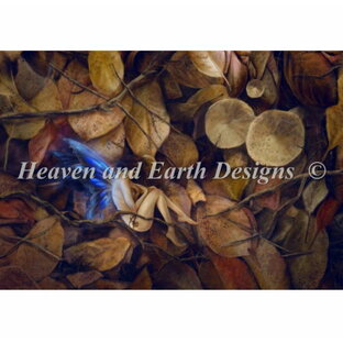 Heaven And Earth Designs クロスステッチ刺繍図案 HAED 輸入 上級者 Selina Fenech 秋の眠り Autumn Slumber 全面刺しの画像