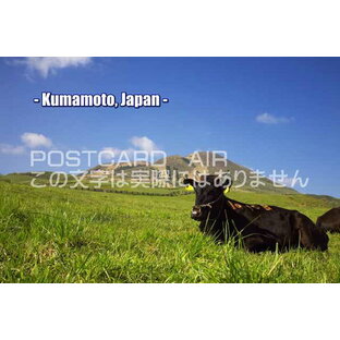 地名入りポストカード「Kumamoto, Japan」熊本県阿蘇 牛絵葉書ハガキpostcard-photo by 絶景.comの画像