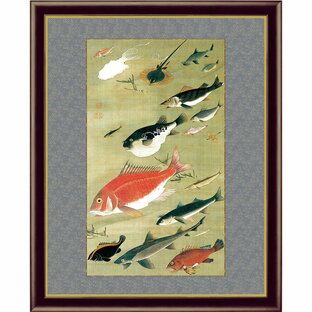 伊藤若冲 動植綵絵 群魚図（鯛） 額 美術品 インテリア レプリカ グッズ - アートの友社の画像