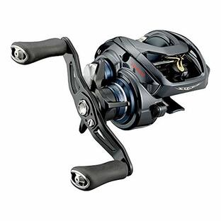 ダイワ(DAIWA) 21 スティーズ A TW HLC 6.3Rの画像