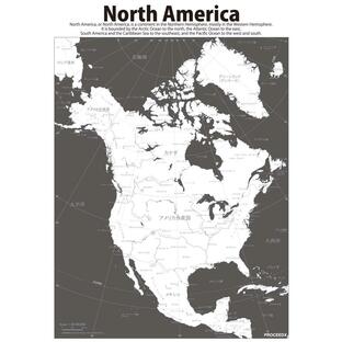 PROCEEDX美しい世界地図 北アメリカ 学習ポスターミニマルマップA4サイズ日本製1102の画像