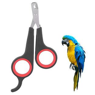 Voluxe 鳥の爪切り、鳥かごの必需品、オウムの爪切り鳥かごライナー、ペットショップの鳥のための小動物のアクセサリーの画像