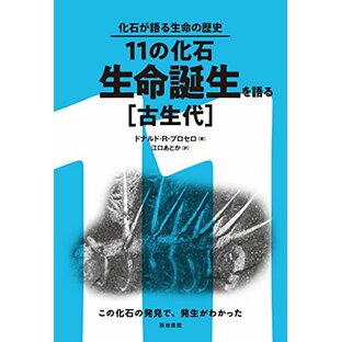 11の化石・生命誕生を語る[古生代] (化石が語る生命の歴史)の画像