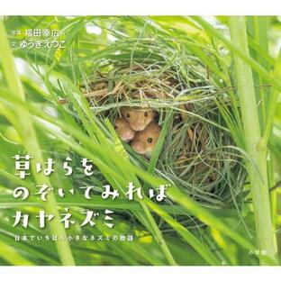草はらをのぞいてみればカヤネズミ 日本でいちばん小さなネズミの物語 / 福田 幸広 写真の画像