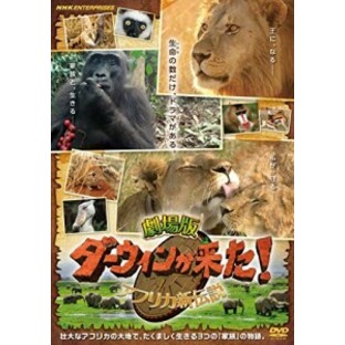 新品 劇場版 ダーウィンが来た! アフリカ新伝説 / 【DVD】 NSDS-23860-NHKの画像