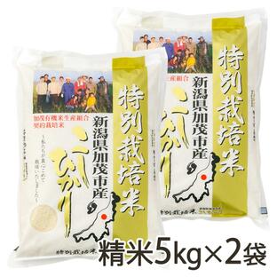 【令和5年度米】新潟県産コシヒカリ（特別栽培米）精米10kg/加茂有機米生産組合/送料無料 父の日 お中元の画像