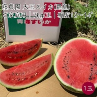 藤農園 ご家庭用 屏風山地帯 スイカ 羅皇 1玉 約7kg／玉《産地直送 2024年度 販売中》【送料無料 *沖縄離島除く】剥がれ/キズ/カスレ 見の画像