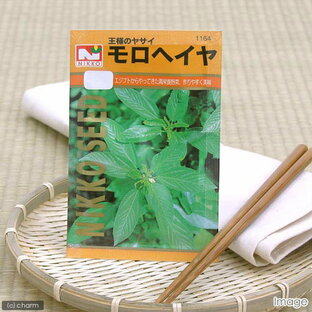 野菜の種 モロヘイヤ 品番：1164 家庭菜園 関東当日便の画像