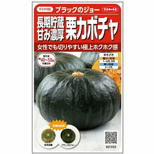 サカタ 002875 長期貯蔵甘み濃厚栗カボチャ ブラックのジョー かぼちゃ 約6粒／袋 種子の画像