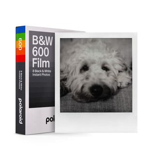 Polaroid(ポラロイド) インスタントフィルム B&W Film for 600 カラーフィルム 8枚入り フレームカラー白 (6003)の画像