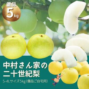 梨 二十世紀梨 (優品ご自宅用 ）梨 中村さん家の 鳥取二十世紀梨 5kg（S-4Lサイズ混合 ）二十世紀梨の本場鳥取から産地直送！の画像