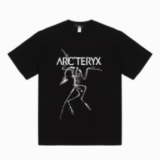 ARCTERYX アークテリクス始祖鳥 クラシックロゴ 半袖 Tシャツの画像