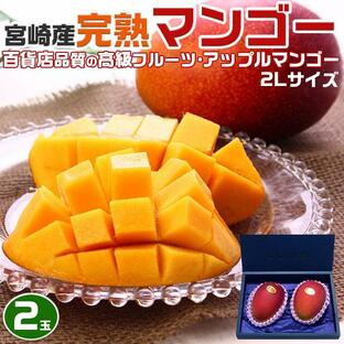 マンゴー 宮崎 完熟マンゴー 2Lサイズ 2個入 完熟アップルマンゴー ギフト 高級果物 希少フルーツ プレゼント 贈答用 母の日 父の日 クール便配送 送料無料の画像