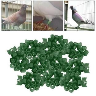 100Pcs BirdsFootBandsコンペティションピジョンクリップオンレッグリングダークグリーンの画像