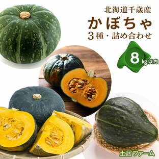 【ふるさと納税】2024年秋発送 かぼちゃ3種 詰め合わせ 計8kg《土居ファーム》 野菜 かぼちゃ 九重栗 夢味 ロロン 坊ちゃん・栗坊 南瓜 カボチャ 北海道ふるさと納税 千歳市 ふるさと納税【北海道千歳市】ギフト ふるさと納税の画像