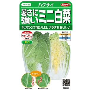 野菜の種 実咲野菜2623 暑さに強いミニ白菜タイニーシュシュ サカタのタネの画像