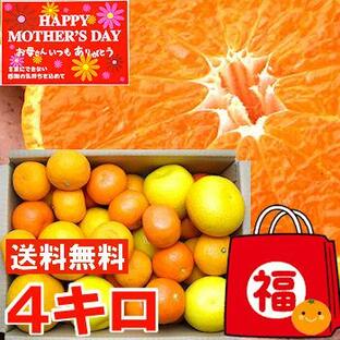 母の日 2024 ギフト 初夏の柑橘セットの画像