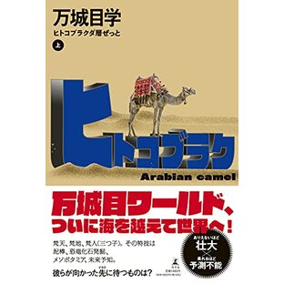 ヒトコブラクダ層ぜっと(上)の画像