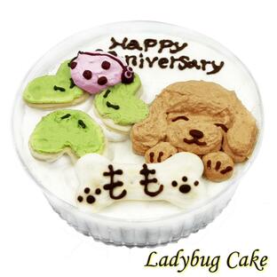 犬用 LadyBugケーキ てんとう虫とトイプードル 可愛いケーキ お誕生日はもちろんうちの子記念日やアニバーサリー 無添加のペット用品で健康な食事をの画像