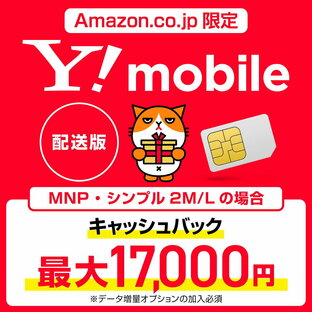 Y!mobile(ワイモバイル) 事務手数料3,850円が無料になるSIM配送版 5G対応 格安SIM ZGQA10の画像