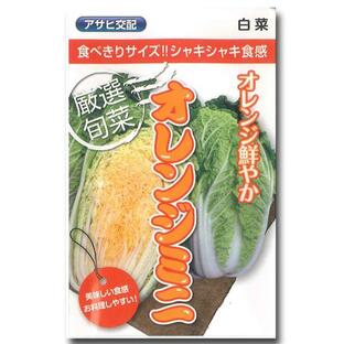 野菜の種/種子 オレンジミニ・白菜 ハクサイ 1ml （メール便発送）アサヒ農園の画像