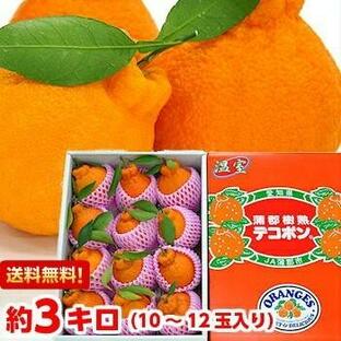 愛知県蒲郡産 樹熟大玉デコポン 赤秀 約3kgの画像