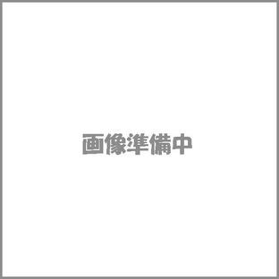 武川 バッテリーチャージャーCTEK/XS0.8JP 08-02-0032の画像