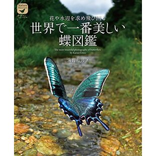 世界で一番美しい蝶図鑑: 花や水辺を求め飛び回る (ネイチャー・ミュージアム)の画像