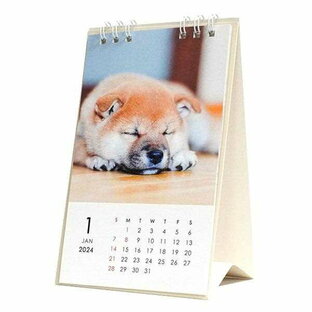 卓上カレンダー 2024年 卓上タテ型 イヌ (100円ショップ 100円均一 100均一 100均)の画像
