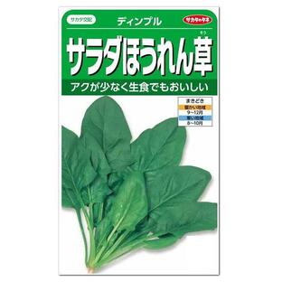 サカタのタネ サラダほうれん草 ディンプル 種 家庭菜園 プランター栽培 ほうれんそう たね ホウレンソウのタネの画像