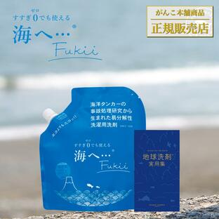 地球洗剤実用集 豆本 海へ…Fukii 詰め替えパック 380g お洗濯まるわかりセット がんこ本舗の画像
