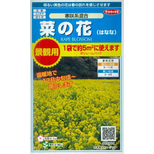 【景観用 菜の花（はなな）】寒咲系混合 ボリュームパック（5g）【サカタのタネ】[秋まき]905908の画像