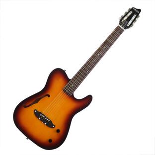 SCHECTER OL-FL-N-P TSB エレクトリッククラシックギターの画像