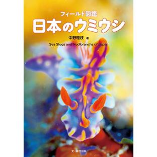 フィールド図鑑 日本のウミウシの画像