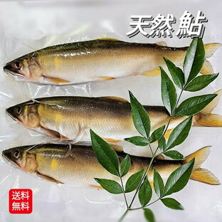 天然鮎 冷凍 3尾 大サイズ 天然 鮎 アユ 岸田川 清流 小分け 真空冷凍 新物 魚 焼き魚 焼魚 塩焼き 川魚 バーベキュー BBQ キャンプ飯 200g 以上 数量限定販売 在庫のみの画像