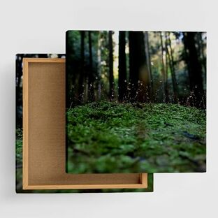 植物 自然 アートパネル 15cm × 15cm Sサイズ 日本製 ポスター おしゃれ インテリア 模様替え リビング 内装 グリーン 雫 風景 ファブリックパネル rsb-0006-Sの画像