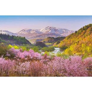 ジグソーパズル 1000ピース 春茜 月山と大山桜 (50x75cm) 1000-910(アップルワン)梱60cmの画像