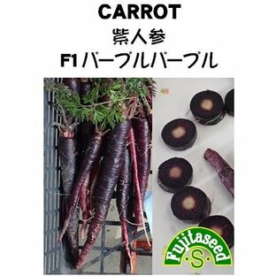 野菜 タネ 種 紫ニンジン Ｆ１パープルパープル 藤田種子の画像