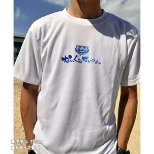 〜OKINAWA〜オリジナルドライTシャツ【なんくるないさぁ〜】ホワイトの画像