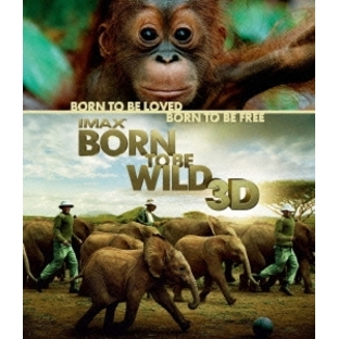 デヴィッド・リクリー/IMAX： Born To Be Wild 3D -野生に生きる-[1000368709]の画像