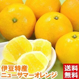 静岡県伊豆産 ニューサマーオレンジ 秀品3kgの画像