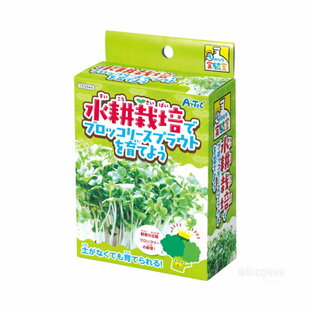 水耕栽培でブロッコリースプラウトを育てよう 1セット入 / 観察 栽培セット 水耕栽培 実験 ブロッコリースプラウト 家庭菜園 野菜 育成 宿題 自由研究 夏休み 冬休み 観察セット 観察キット 室内 園芸 アーテック artec 学校 教材【宅配便】の画像