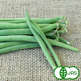 [有機栽培]インゲン(80g) 有機 オーガニック いんげん 生 国産 サラダ 三度豆の画像