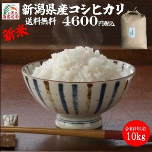 令和5年産 新潟県産コシヒカリ10kg うまい米 米専門 みのりや（玄米）ポイント消化 送料無料の画像