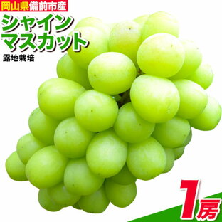 【ふるさと納税】ぶどう【2024年発送】岡山県備前市産 樹上完熟 シャインマスカット(露地栽培) 選べる内容量 1房 約2kg フルーツパークびぜん《8月上旬-9月下旬頃出荷》岡山県 備前市 樹上完熟 シャインマスカット マスカット 露地栽培 葡萄 フルーツ 果物の画像