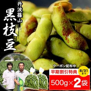 枝豆 2024 丹波篠山 ブランド 黒枝豆 500g × 2袋 h-2 大粒 丹波 黒豆 枝豆 丹波黒 黒大豆の画像