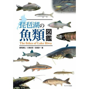 琵琶湖の魚類図鑑[本/雑誌] / 藤岡康弘川瀬成吾の画像