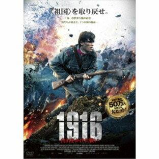 1916 〜自由をかけた戦い〜 【DVD】の画像