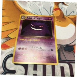 【品質保証書付】 トレーディングカード Pokemon Cards Bad Genger / 20210427-066 / 20210427-066の画像